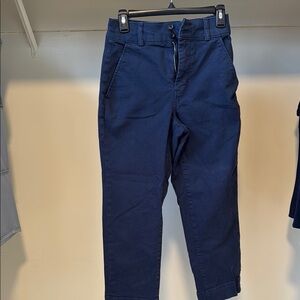 Everlane Navy Blue Barrel Pants